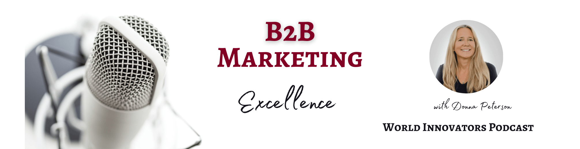 B2B Marketing Excellence Podcast